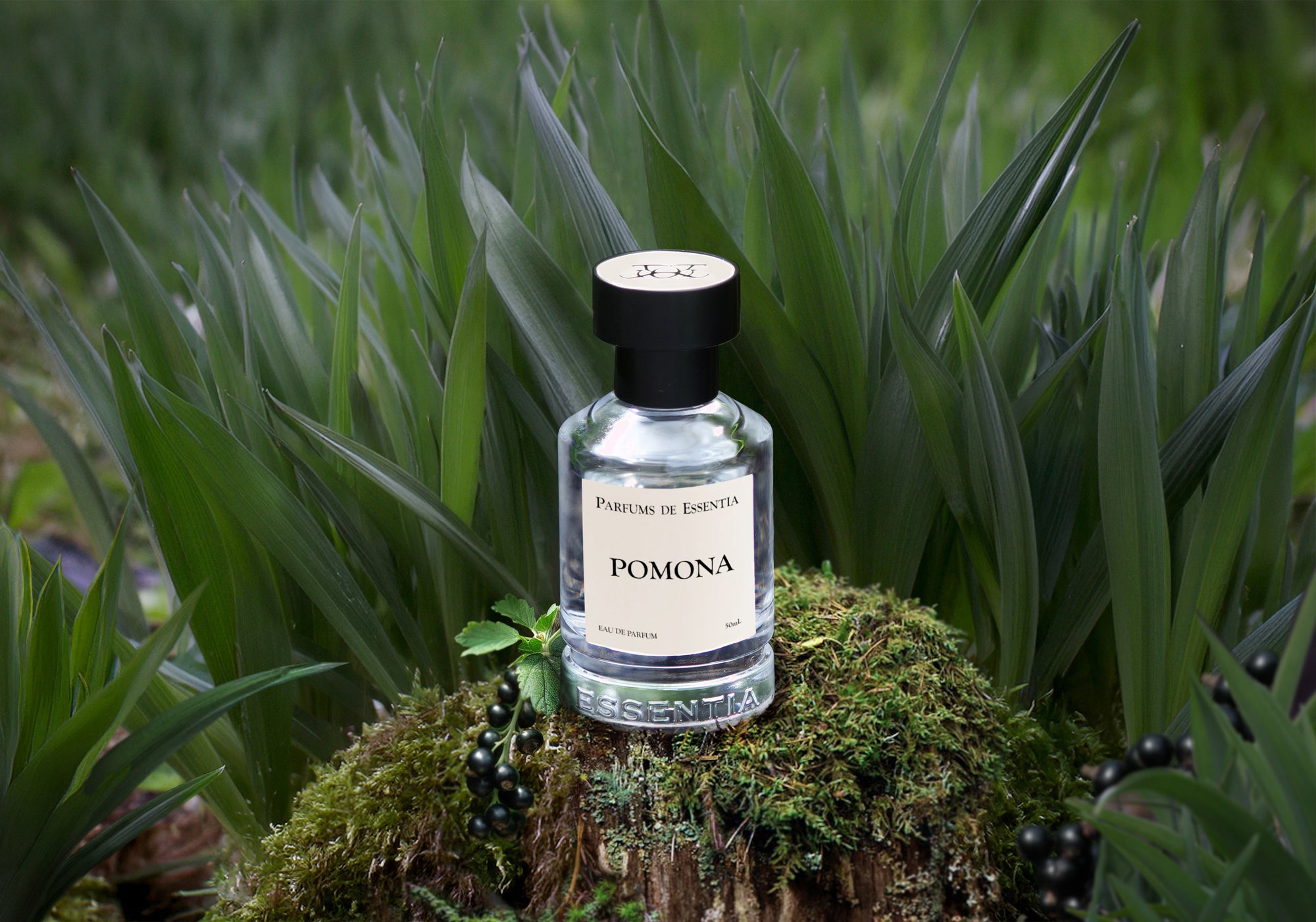 Pomona - A crisp green verdant scent.       Fragrance 50ml / 1.7 oz.