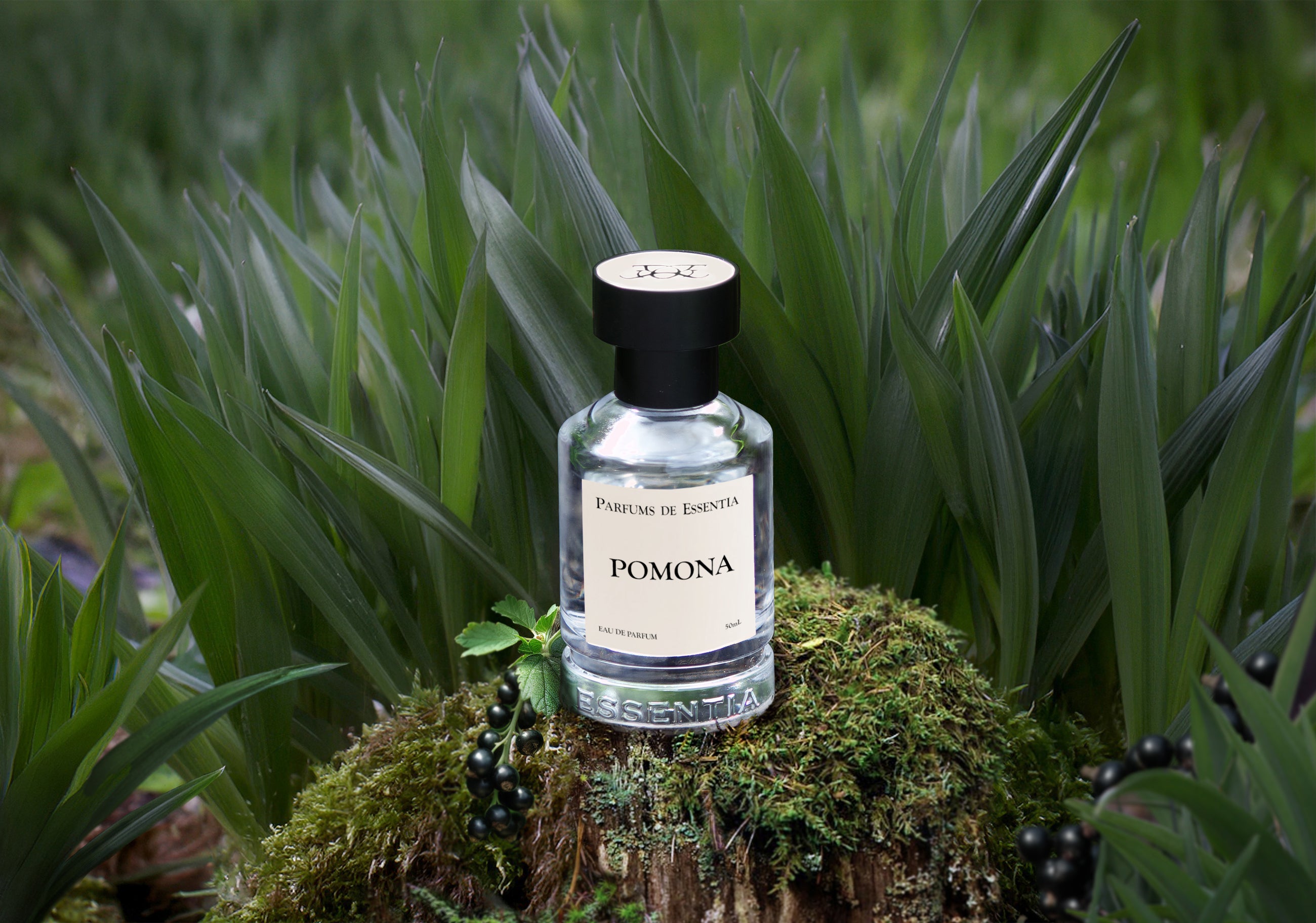 Pomona - A crisp green verdant scent.       Fragrance 50ml / 1.7 oz.
